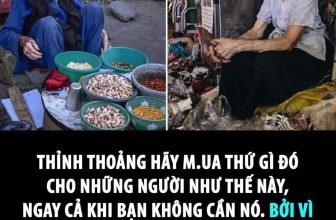 [🆕🇻🇳] Phát Triển Bản Thân – Be Better Than You Were Yesterday!!! 📚 Top1Learn 📕 Hãy cho đi sự t.ử tế ngay khi có thể!
, shares-4✔️ , likes-31❤️️ , date-2024-07-04 00:27:35🇻🇳🇻🇳🇻🇳📰🆕