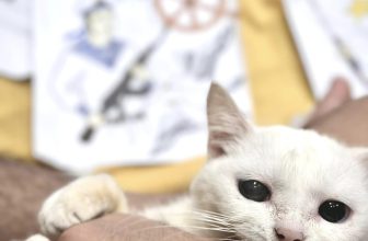 [🆕🇻🇳] Nhật Thực (Thực Tuti) 😎❤️️⭐️ Top1Kids 😎❤️️⭐️ Đồng minh mới. E tên là Meowwww
, shares-0✔️ , likes-74❤️️ , date-2024-07-01 15:43:27🇻🇳🇻🇳🇻🇳📰🆕