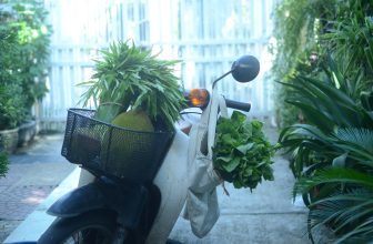 [☕️🇻🇳] PHD Book – Coffee 🥤 Top1Coffee ☕️ Tự nhiên từ ngày ăn rau nhiều hơn cái tính nó cũng dễ chịu hơn hẳn đó nghe!
Hôm nay vườn có:
– Rau muống
– Mồng tơi
Giá: 2 , shares-0✔️ , likes-44❤️️ , date-2024-07-01 20:28:55🇻🇳🇻🇳🇻🇳📰🆕