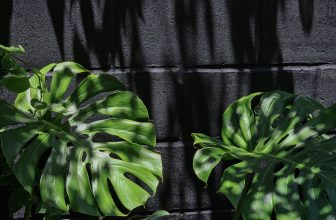 [☕️🇻🇳] 𝐋𝐚 𝐑𝐞̂𝐯𝐞𝐮𝐬𝐞🥤 Top1Coffee ☕️ Món quà nhỏ cho Mùa Hè ở Mơ
/
#mơ
, shares-4✔️ , likes-124❤️️ , date-2024-06-30 17:36:32🇻🇳🇻🇳🇻🇳📰🆕