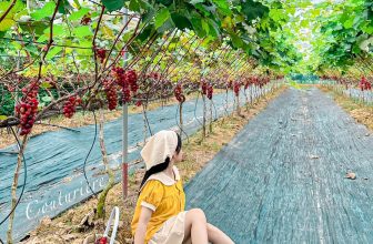 [🆕🇻🇳]  Couturière – home sewing 😎❤️️⭐️ Xinh xỉuuu
Nổ ib luôn các mom ơi   Size bé có sẵn: 0-12 ( bé từ 7-45kg)
Size mẹ: S,M,L  Tư vấn và mua hàng: m.me/tiemmaysauso
Sỉ ib zalo :0948877331
, shares-3✔️ , likes-32❤️️ , date-2024-07-04 11:52:36🇻🇳🇻🇳🇻🇳📰🆕