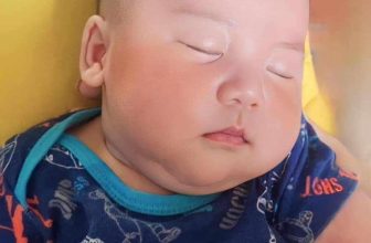 [🆕🇻🇳] Shop 2Gà Con HN-Đồ Sơ Sinh Trọn Gói 🧑‍🧒❤️️👶⭐️ Nhả vía ăn no ngủ kỹ cho các bạn nè.Mình được 4 tháng tuổi rồi.
, shares-0✔️ , likes-11❤️️ , date-2024-07-07 17:10:24🇻🇳🇻🇳🇻🇳📰🆕
