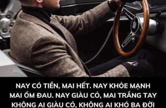 [🆕🇻🇳] Phát Triển Bản Thân – Be Better Than You Were Yesterday!!! 📚 Top1Learn 📕  , shares-0✔️ , likes-8❤️️ , date-2024-07-09 01:38:37🇻🇳🇻🇳🇻🇳📰🆕