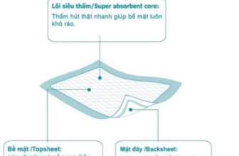 [🆕🇻🇳] Vũ Nga / Chuyên sỉ lẻ đồ sơ sinh – Quần áo trẻ em 🧑‍🧒❤️️👶⭐️ Miếng lót sản dịch cho mẹ
, shares-0✔️ , likes-1❤️️ , date-2024-07-07 11:06:52🇻🇳🇻🇳🇻🇳📰🆕