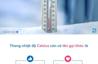 [🆕🇻🇳] Thầy Vũ Ngọc Anh – chuyên luyện thi Vật Lý lớp 10,11,12 📚 Top1Learn 📕 2K7 XUẤT PHÁT SỚM VẬT LÝ 12
Một câu lý thuyết siêu dễ nhưng không phải ai cũng trả lời đúng !
, shares-0✔️ , likes-13K❤️️ , date-2024-07-07 21:53:20🇻🇳🇻🇳🇻🇳📰🆕