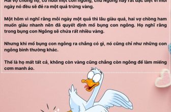 [🆕🇻🇳]  Quỳnh Boutique – Cửa hàng quần áo sơ sinh, trẻ em 🧑‍🧒❤️️👶⭐️ TRUYỆN KỂ CHO BÉ TRƯỚC KHI ĐI NGỦ
TRUYỆN KỂ CHO BÉ TRƯỚC KHI ĐI NGỦ
Những câu chuyện nhẹ nhàng, ý nghĩa dưới đây rất thích hợp dành cho các bé. Ba mẹ hã , shares-12✔️ , likes-8❤️️ , date-2024-07-07 16:12:29🇻🇳🇻🇳🇻🇳📰🆕