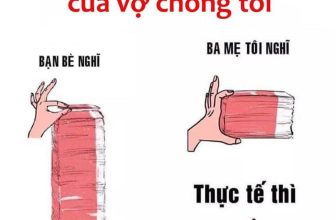 [🆕🇻🇳]  Nhà của Bống – Thời trang cao cấp cho bé trai, bé gái 😎❤️️⭐️ Chị em xác nhận có đúng không ạ?? Hãy cho em biết em không cô đơn
, shares-0✔️ , likes-1❤️️ , date-2024-07-08 00:55:36🇻🇳🇻🇳🇻🇳📰🆕