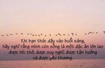 [🆕🇻🇳] Phát Triển Bản Thân – Be Better Than You Were Yesterday!!! 📚 Top1Learn 📕 10 DẤU HIỆU CUỘC SỐNG CỦA BẠN VẪN TỐT ĐẸP1. Bạn đang sống và được học hành.2. Bạn có một chiếc giường thoải mái để ngủ.3. Bạn có một công việc để làm , shares-1✔️ , likes-16❤️️ , date-2024-07-07 17:26:35🇻🇳🇻🇳🇻🇳📰🆕