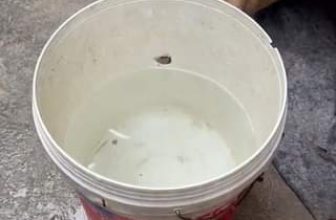 [🆕🇻🇳] Pet Mart – Cửa Hàng Thú Cưng 🐶🦜 Top1Pets 🐱🐠 Khát nước quá thì phải làm sao
, shares-0✔️ , likes-0❤️️ , date-2024-07-04 21:45:37🐶🐱🇻🇳🇻🇳🇻🇳📰🆕