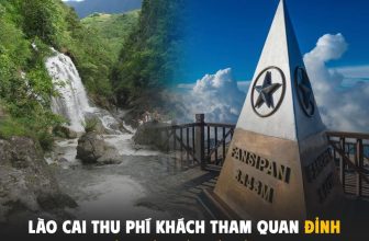 [🆕🇻🇳] Check in Vietnam – Cùng nhau trải nghiệm và và khám phá Việt Nam ♥️️ Top1Checkin ☑  Theo đó, mức thu đối với người từ 16 tuổi trở lên là 10.000 đồng/người/lần; còn trẻ em dưới 16 tuổi là 5.000 đồng/người/lần tại cả 2 địa điểm: đỉnh Fansipa , shares-39✔️ , likes-77K❤️️ , date-2024-07-08 22:30:06🇻🇳🇻🇳🇻🇳📰🆕