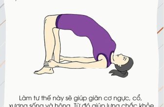[🆕🇻🇳] 💗 Những Người Thích Tập Yoga 🧘🏻‍♀️ 🧘 Top1Yoga 🤸🏻‍♀️ 𝐑𝐞𝐯𝐢𝐞𝐰 𝟏 𝐬𝐨̂́ 𝐛𝐚̀𝐢 𝐭𝐚̣̂𝐩 𝐘𝐨𝐠𝐚 𝐯𝐚̀ 𝐥𝐨̛̣𝐢 𝐢́𝐜𝐡 𝐜𝐮̉𝐚 𝐭𝐮̛̀𝐧𝐠 đ𝐨̣̂𝐧𝐠 𝐭𝐚́𝐜 𝐦𝐚̀ 𝐛𝐚̣𝐧 𝐜𝐨́ 𝐭𝐡𝐞̂̉ 𝐜𝐡𝐮̛𝐚 𝐛𝐢𝐞̂́𝐭   Bạn có thể tham khảo thêm nhiều lợi ích tư thế ở đây , shares-0✔️ , likes-0❤️️ , date-2024-07-07 13:28:46🇻🇳🇻🇳🇻🇳📰🆕