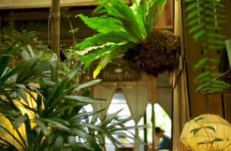 [☕️🇻🇳] 15.22 café – wine – live music 🥤 Top1Coffee ☕️ “ Mưa là một sự ban phước, sự kết nối giữa bầu trời và đất đai”.
, shares-0✔️ , likes-0❤️️ , date-2024-07-07 23:26:20🇻🇳🇻🇳🇻🇳📰🆕