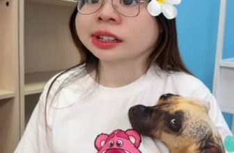 [🆕🇻🇳] Ticketbox – Hệ thống quản lý và bán vé sự kiện trực tuyến hàng đầu tại Việt Nam ♥️️ Top1Index 📚  Hổng có biết
#ticketbox #ticketingplatform #nentangbanve #điđâu #chơigì #cuốituần #giảitrí
, shares-0✔️ , likes-0❤️️ , date-2024-07-07 01:18:33🇻🇳🇻🇳🇻🇳📰🆕