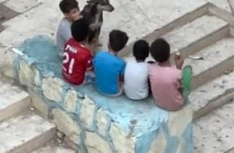 [🆕🇻🇳] Pet Mart – Cửa Hàng Thú Cưng 🐶🦜 Top1Pets 🐱🐠 6 thằng chơi thân với nhau, nhưng 5 thằng kia không bao h nói chuyện với mình
, shares-0✔️ , likes-0❤️️ , date-2024-07-08 01:46:13🐶🐱🇻🇳🇻🇳🇻🇳📰🆕