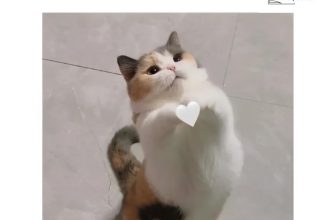 [🆕🇻🇳] Mê Đọc Sách – Trang sách mở ra, trời xa xích lại  📚 Top1Book 📖 Nay cả nhà tan làm có bị mắc mưa không?
, shares-2✔️ , likes-15❤️️ , date-2024-07-09 13:37:39🇻🇳🇻🇳🇻🇳📰🆕📚