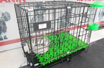 [🆕🇻🇳] Pettysoc Đồ Cho Thú Cưng 🐶🦜 Top1Pets 🐱🐠 LỒNG NHỐT VÂN ĐÁĐây là mẫu lồng có nan dày nhất trong tất cả các loại lồng cùng chủng loại, kích thước.
– Với thiết kế 2 cửa : cửa trên , cửa dưới cực k , shares-0✔️ , likes-0❤️️ , date-2024-07-06 19:14:03🐶🐱🇻🇳🇻🇳🇻🇳📰🆕