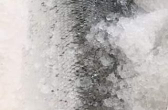 [🆕🇻🇳] Tiến sushi  (Tiến Nhật- Thuỷ sushi) – Bán ăn tại quán, nhận ship hàng và mua mang về 🍔 Top1Food  🍜 034.512.8898
, shares-0✔️ , likes-2❤️️ , date-2024-07-05 15:33:29🇻🇳🇻🇳🇻🇳📰🆕