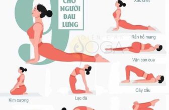 [🆕🇻🇳] 💗 Những Người Thích Tập Yoga 🧘🏻‍♀️ 🧘 Top1Yoga 🤸🏻‍♀️ NGƯỜI ĐAU LƯNG THÌ NÊN TẬP GÌ?
Thứ nhất, thực hành các tư thế tăng sức mạnh cho cơ bắp vùng lưng, vùng bụng. Cơ bắp là tường phòng thủ mạnh nhất cho xương. , shares-0✔️ , likes-6❤️️ , date-2024-07-08 15:32:33🇻🇳🇻🇳🇻🇳📰🆕