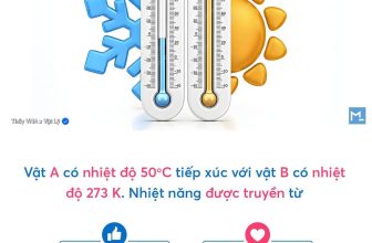 [🆕🇻🇳] Thầy Vũ Ngọc Anh – chuyên luyện thi Vật Lý lớp 10,11,12 📚 Top1Learn 📕 2K7 XUẤT PHÁT SỚM VẬT LÝ 12  Học sinh đọc không kĩ đầu bài là auto mất điểm câu này
, shares-1✔️ , likes-17K❤️️ , date-2024-07-08 22:16:26🇻🇳🇻🇳🇻🇳📰🆕