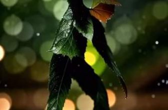 [🆕🇻🇳] Tambooks Yoga  – Học viện Yoga Online Tambooks Việt Nam 🧘 Top1Yoga 🤸🏻‍♀️  , shares-0✔️ , likes-10❤️️ , date-2024-07-08 11:01:01🇻🇳🇻🇳🇻🇳📰🆕