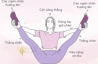[🆕🇻🇳] Minh Tâm Yoga – Chia sẽ kinh nghiệm – Truyền cảm hướng yoga 🧘 Top1Yoga 🤸🏻‍♀️ +100 ĐỊNH TUYẾN ASANA
Yoga muốn hiệu quả, đầu tiên phải an toàn! Phải không nào?
Hãy xem hướng dẫn định tuyến các tư thế sau đây nhé. Và chúng tôi có cu , shares-0✔️ , likes-1❤️️ , date-2024-07-08 20:28:49🇻🇳🇻🇳🇻🇳📰🆕