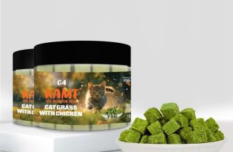 [🆕🇻🇳] Pettysoc Đồ Cho Thú Cưng 🐶🦜 Top1Pets 🐱🐠 VIÊN ỨC GÀ MIX CỎ MÈO HỖ TRỢ TIÊU BÚI LÔNG CHO MÈOVới tập tính thích chải chuốt, liếm láp, mỗi ngày các bé mèo tiêu thụ rất nhiều lông, hình thành các bú , shares-0✔️ , likes-0❤️️ , date-2024-07-09 04:43:58🐶🐱🇻🇳🇻🇳🇻🇳📰🆕