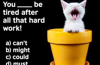 [🆕🇻🇳] British Council Vietnam English 📚 Top1Learn 📕 Yawn! Do you suddenly need a nap?What’s the correct English word to describe this kitty’s sleepy day?a) can’t,
b) might
c) could
d) must?Tell us t , shares-0✔️ , likes-3❤️️ , date-2024-07-09 13:00:47🇻🇳🇻🇳🇻🇳📰🆕