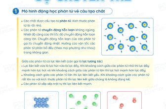 [🆕🇻🇳] Thầy Vũ Ngọc Anh – chuyên luyện thi Vật Lý lớp 10,11,12 📚 Top1Learn 📕 Độc quyền của Thầy VNAFULL LÝ THUYẾT CHƯƠNG 1 LỚP 12 – VẬT LÝ NHIỆT (SGK mới)• Bài 1 – Sự chuyển thể
• Bài 2 – Nội nặng, định luật I của nhiệt động l , shares-132✔️ , likes-979❤️️ , date-2024-07-08 22:54:39🇻🇳🇻🇳🇻🇳📰🆕