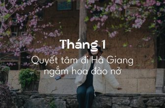 [🆕🇻🇳] Check in Vietnam – Cùng nhau trải nghiệm và và khám phá Việt Nam ♥️️ Top1Checkin ☑  Hiện tượng lạ tạm thời tôi chưa có lời giải: đầu năm thì lên plan du lịch nọ kia quyết tâm lắm, giữa năm kêu bận, cuối năm lại bảo “thôi năm nay nháp sang  , shares-1069✔️ , likes-9K❤️️ , date-2024-07-07 23:26:03🇻🇳🇻🇳🇻🇳📰🆕