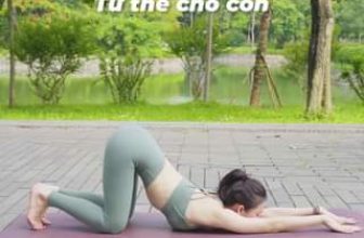 [🆕🇻🇳] LIVAN SPORT – Thương hiệu thời trang thể thao số 1 của người Việt! ⚽ Top1Sport ⛹️‍♂️ Tư thế “chó con” cực dễ thương <3  Nàng thử các biến thể chưa? #yoga #yogaflow #yogachallenge #yogalove #yogadamme #yeuyoga #yogamoingay
, shares-0✔️ , likes-0❤️️ , date-2024-07-11 21:06:03🇻🇳🇻🇳🇻🇳📰🆕