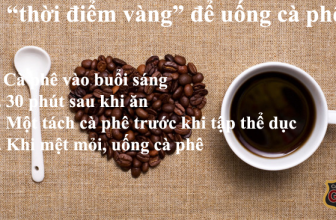 [☕️🇻🇳] Gia Cát Coffee – Cung cấp cây cảnh, nhận sét up cây cảnh cho quán cafe 🥤 Top1Coffee ☕️ ——– 4 THỜI ĐIỂM VÀNG ———
UỐNG CAFE CỰC TỐT CHO SỨC KHỎE
Theo đồng hồ sinh học, bạn nên uống cafe vào khoảng thời gian , shares-0✔️ , likes-12❤️️ , date-2019-07-15 15:00:29🇻🇳🇻🇳🇻🇳📰🆕