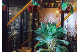 [☕️🇻🇳] Ngầu Coffee – 36 Lê Lợi, Vinh 🥤 Top1Coffee ☕️ Đi qua những ngày mưa ta lại thèm những ngày nắng.
Chúc cả nhà cuối tuần vui vẻPhoto from Nguyễn Tú Uyên#feelinggood #nic , shares-0✔️ , likes-35❤️️ , date-2019-08-23 13:30:50🇻🇳🇻🇳🇻🇳📰🆕