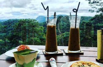 [☕️🇻🇳] Coffee Bùi Văn Ngọ – Đà Lạt 🥤 Top1Coffee ☕️ Mặc cho nơi đâu ồn ào và ô nhiễm thì tại đây vẫn #xanh_mát và #bình_yên đến lạ thường.
Nguồn ảnh: Du lịch Đà Lạt – Cẩm nang du  , shares-0✔️ , likes-11❤️️ , date-2019-10-03 13:56:48🇻🇳🇻🇳🇻🇳📰🆕