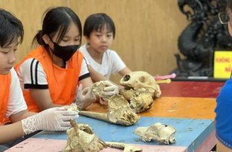 [🆕🇻🇳] Thảo Cầm Viên – Sài gòn Zoo & Botanical Gardens ♥️️ Top1Checkin ☑  Lịch trình 1 ngày khám phá trọn vẹn Thảo cầm viên Sài Gòn , shares-12✔️ , likes-149❤️️ , date-2024-05-31 01:06:03🇻🇳🇻🇳🇻🇳📰🆕