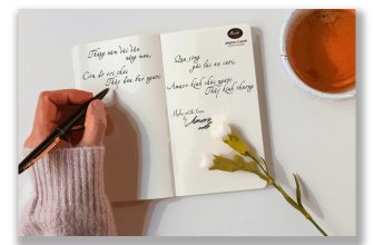 [☕️🇻🇳] Amavo Caffè 🥤 Top1Coffee ☕️   CHÚC MỪNG NGÀY NHÀ GIÁO VIỆT NAM 20/11  Chắc hẳn ai cũng sẽ có một người Thầy để bạn yêu quý, ngưỡng mộ và dành sự kính trọng , shares-3✔️ , likes-9❤️️ , date-2019-11-18 01:15:23🇻🇳🇻🇳🇻🇳📰🆕