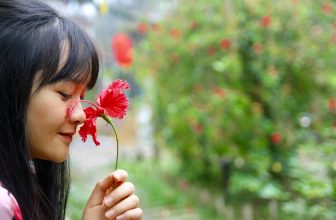 [☕️🇻🇳] Garden Coffee – Tea Thanh Sơn 🥤 Top1Coffee ☕️ Mắt biếc…..
Hững hờ đợi chờ ngày tết.
, shares-0✔️ , likes-125❤️️ , date-2020-01-26 13:43:04🇻🇳🇻🇳🇻🇳📰🆕