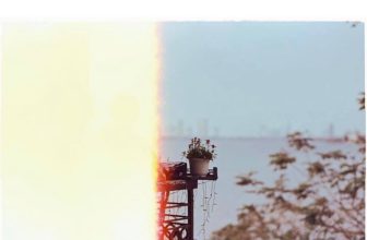 [☕️🇻🇳] Tháng 10 – October coffee – studio   🥤 Top1Coffee ☕️ “….Hôm trước tôi có ghé thăm một người bạn đã lâu ngày không gặp, tình cờ được biết nhỏ đang thấy chán đời lắm. Chán chuyện tì , shares-0✔️ , likes-13❤️️ , date-2020-03-03 13:05:24🇻🇳🇻🇳🇻🇳📰🆕