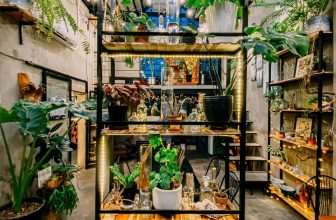 [☕️🇻🇳]1986 Tea-Coffee 🥤 Top1Coffee ☕️ Con vi gút cô gô na mắc dại đã khiến cho dân tình Ko học, bớt làm, không đi đú đỡn, bớt đi ăn chơi… kéo theo cái quán của Mị l , shares-5✔️ , likes-42❤️️ , date-2020-03-03 00:32:52🇻🇳🇻🇳🇻🇳📰🆕