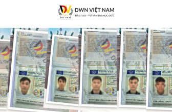 Bão 06 Visa đổ Bộ DWN Việt Nam Ngày Cuối T7/2024  [👨‍🎓🇻🇳] dwn.com.vn