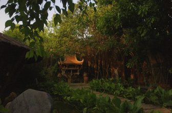 [☕️🇻🇳] CoCo’s Coffee 🥤 Top1Coffee ☕️ Tôi đang dần nhận ra rằng hạnh phúc không hẳn là thứ gì đó to lớn và hiện hữu lù lù ở phía chân trời xa kia. Mà nó là cái gì đó  , shares-0✔️ , likes-11❤️️ , date-2020-09-19 01:23:20🇻🇳🇻🇳🇻🇳📰🆕