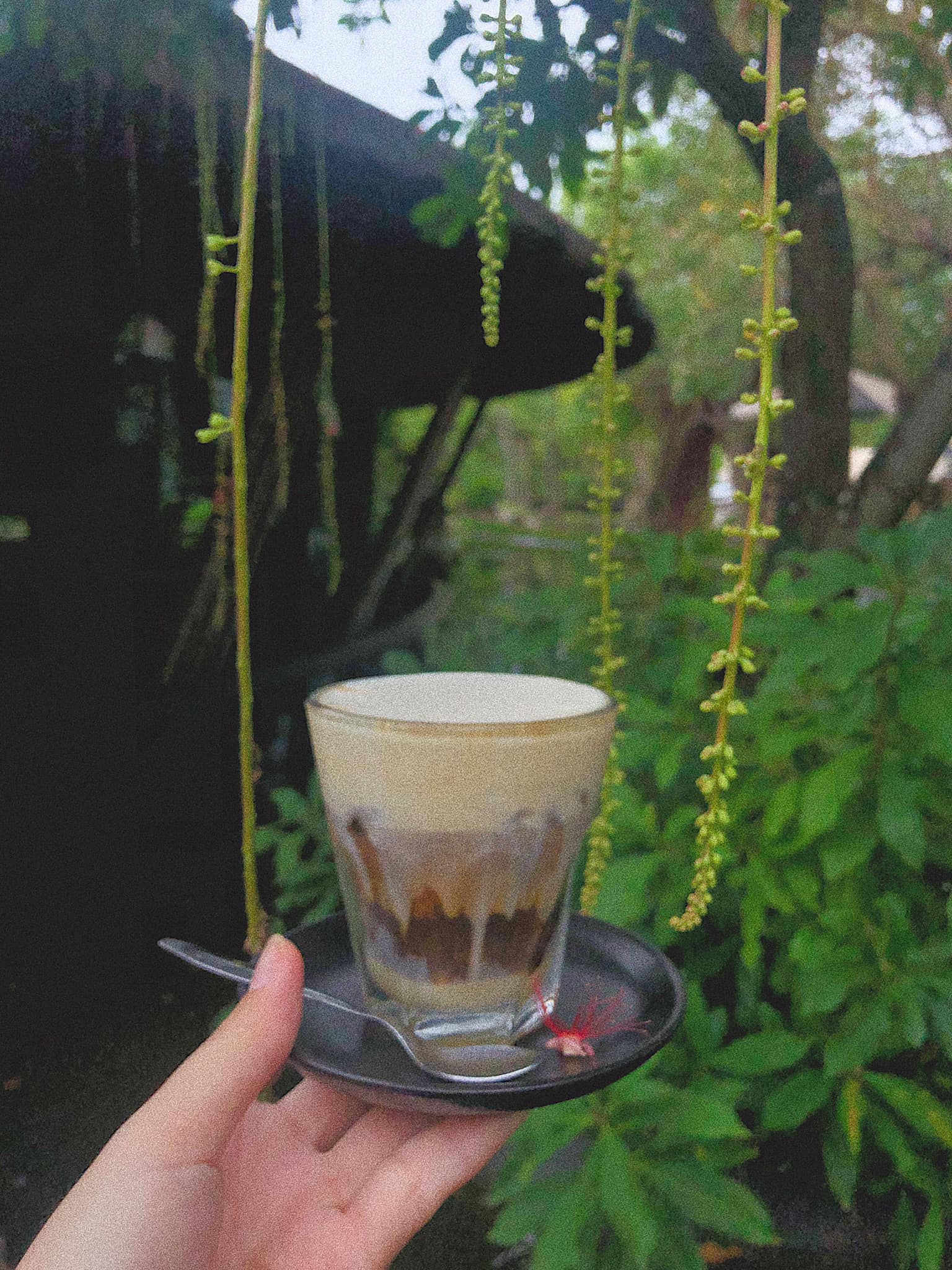 [☕️🇻🇳] Nocenco Coffee 🥤 Top1Coffee ☕️ Chào mừng thành viên mới trong menu bánh Nocenco Coffee -MOUSSE CHANH LEO.Mousse chanh leo là loại bánh được râ , shares-13✔️ , likes-31❤️️ , date-2020-09-24 12:18:44🇻🇳🇻🇳🇻🇳📰🆕