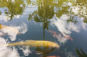 [☕️🇻🇳] CoCo’s Coffee 🥤 Top1Coffee ☕️ “Là con đi xa chứ nhà mình… đâu có xa?”
Tết Đoàn Viên, nếu có thể, hãy về nhà!
#niệmhạ
Lời gửi gắm này có muộn một chút, dù tr , shares-0✔️ , likes-10❤️️ , date-2020-09-30 23:43:06🇻🇳🇻🇳🇻🇳📰🆕