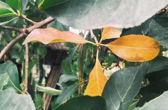 [☕️🇻🇳] CoCo’s Coffee 🥤 Top1Coffee ☕️ Chẳng cần phải đợi đến hoàng hôn nữa, sắc vàng đã chuẩn bị xâm chiếm lấy #cocoscoffee rồi …
—————— #cocoscoffee
57 Nguyễn H , shares-0✔️ , likes-5❤️️ , date-2020-10-02 21:28:22🇻🇳🇻🇳🇻🇳📰🆕