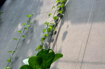 [☕️🇻🇳] D House – Coffee 🥤 Top1Coffee ☕️ Nắng lên..
, shares-0✔️ , likes-14❤️️ , date-2020-11-07 14:42:44🇻🇳🇻🇳🇻🇳📰🆕