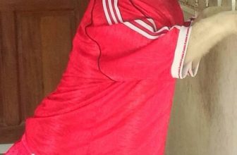 [🆕🇻🇳] Yêu Thú Cưng 🐶🦜 Top1Pets 🐱🐠 Mới tuyển được thằng hầu damdang làm việc nhà giá rẻ :3 á à thằng kia mài ý độ gì đấy?? Làm việc ngay ko bà cắn cho bây chư…
#Méng đỡ phải còng lưng mỏi  , shares-15✔️ , likes-594❤️️ , date-2016-06-07 20:52:59🐶🐱🇻🇳🇻🇳🇻🇳📰🆕