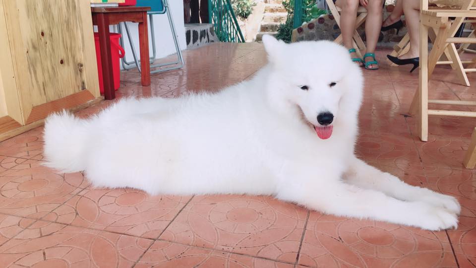 [☕️🇻🇳] LLightroom Coffee 🥤 Top1Coffee ☕️  , shares-0✔️ , likes-0❤️️ , date-2017-02-05 19:03:03🇻🇳🇻🇳🇻🇳📰🆕