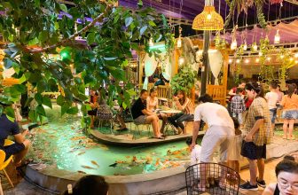 [☕️🇻🇳] Koilands Coffee 🥤 Top1Coffee ☕️ Ngoài yếu tố di truyền, điều gi ảnh hưởng đến chỉ số IQ của trẻ nhỏ? Nhiều nghiên cứu cho thấy ngoài việc bổ sung dinh dưỡng đún , shares-9✔️ , likes-21❤️️ , date-2021-04-17 01:31:03🇻🇳🇻🇳🇻🇳📰🆕