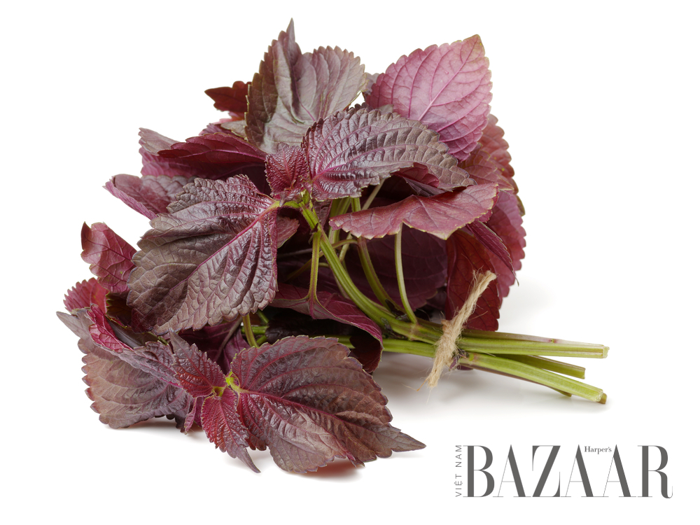 Tía tô kỵ với gì