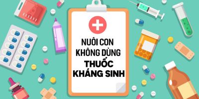[🛒🇻🇳]NUÔI CON KHÔNG DÙNG THUỐC KHÁNG SINH – , SKU – – unica.vn 🇻🇳🛒Top1Shop🛒 🇻🇳Top1Vietnam🇻🇳 🛍🛒🇻🇳