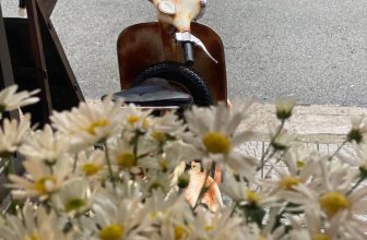 [☕️🇻🇳] Root Coffee Roastery 🥤 Top1Coffee ☕️ Keep the Faith.
#rootcoffeeroastery #43ngoquyen #rainyday, shares-0✔️ , likes-20❤️️ , date-2021-11-28 19:58:08🇻🇳🇻🇳🇻🇳📰🆕